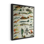 Fishing Lures Framed Canvas Print Gallery Image 2