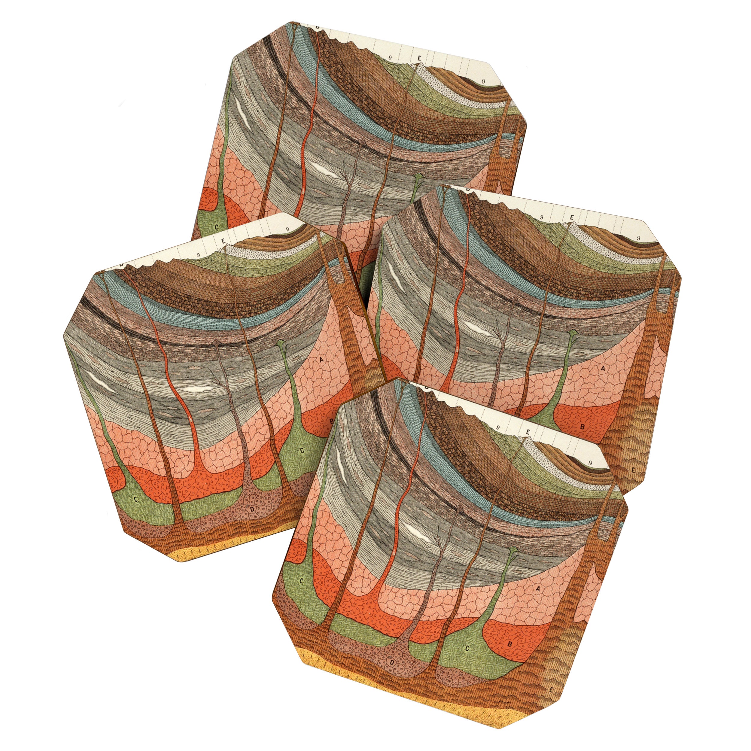 Geology Chart Coaster Gallery Image 1