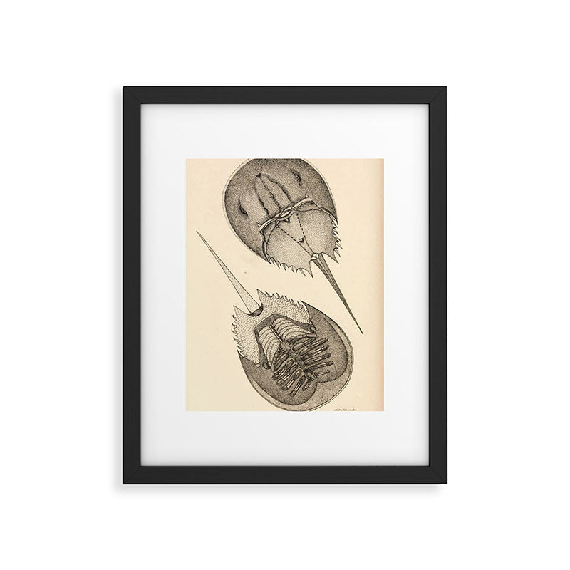 Horseshoe Crabs Framed Art Print Gallery Image 5