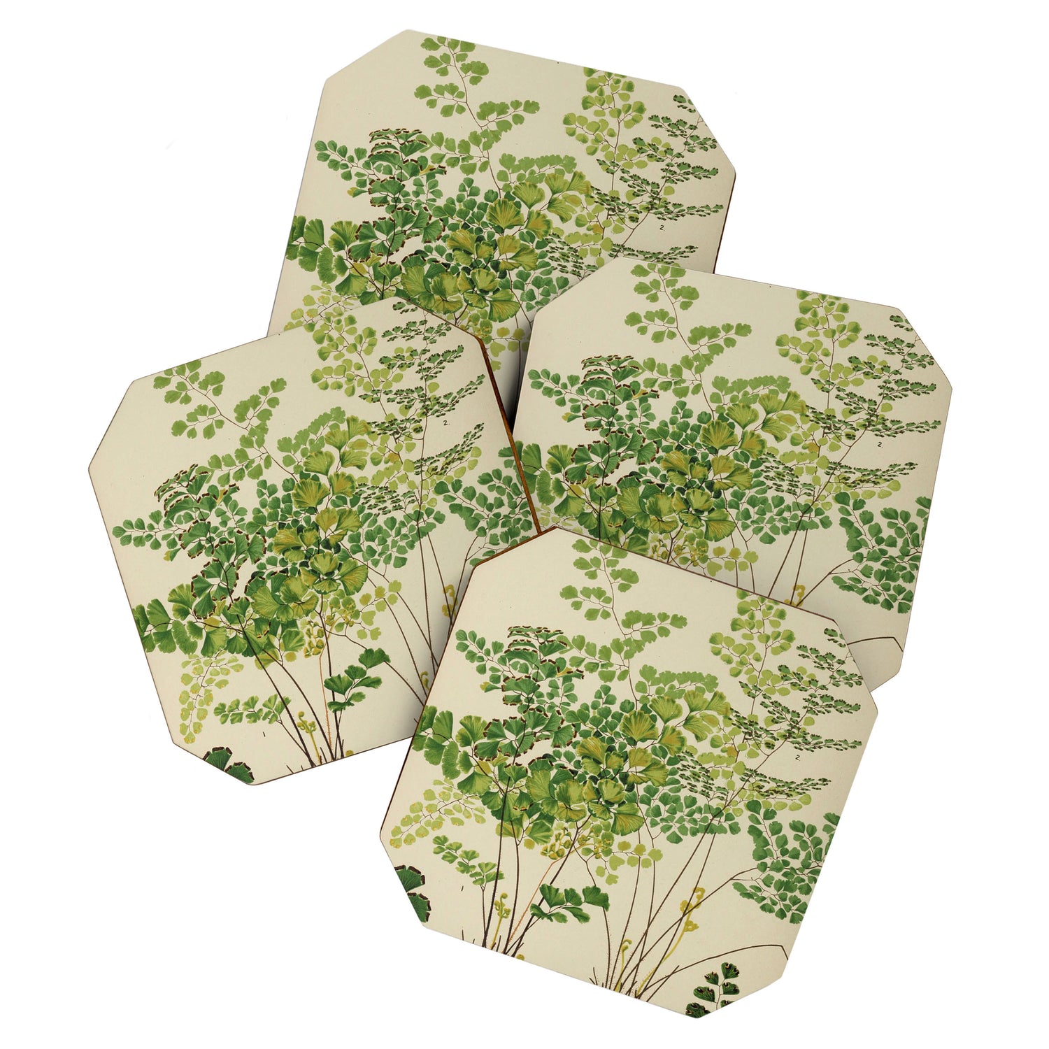 Maidenhair Ferns Coaster Gallery Image 1