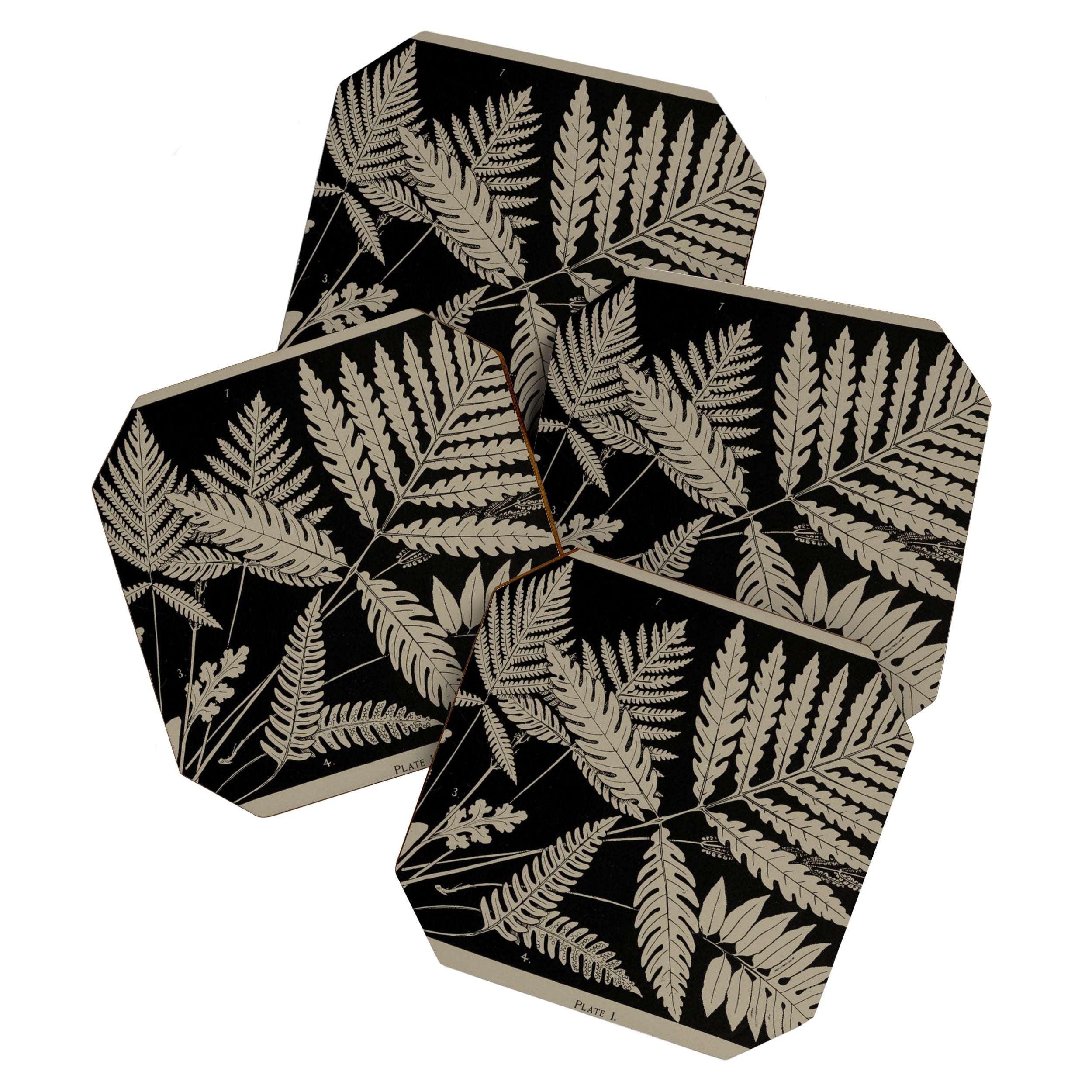 New England Ferns Coaster Gallery Image 1