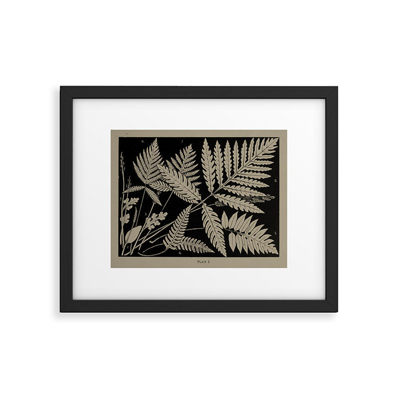 New England Ferns Framed Art Print Gallery Image 5