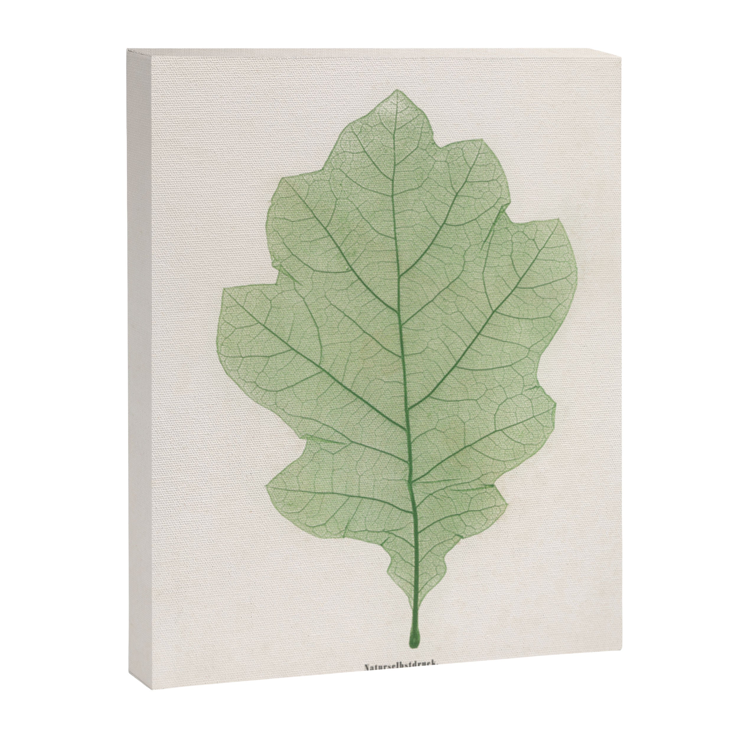 Oak Leaf Canvas Print Gallery Image 6