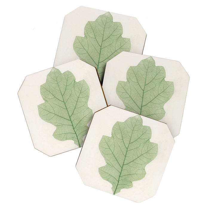Oak Leaf Coaster Gallery Image 1