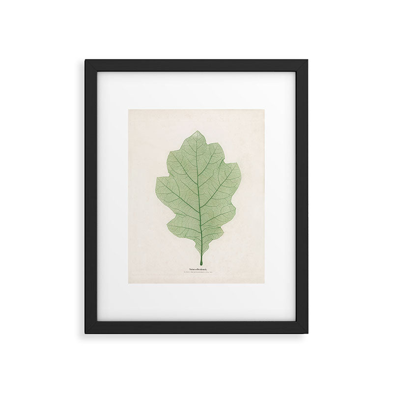 Oak Leaf Framed Art Print Gallery Image 5