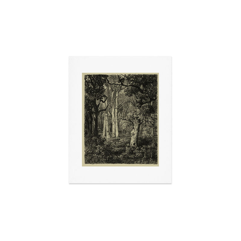 Old Oaks Art Print Gallery Image 1