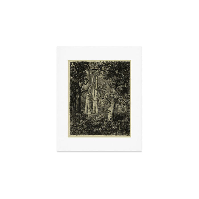 Old Oaks Art Print Gallery Image 1