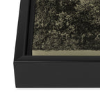 Old Oaks Framed Canvas Print Gallery Image 3