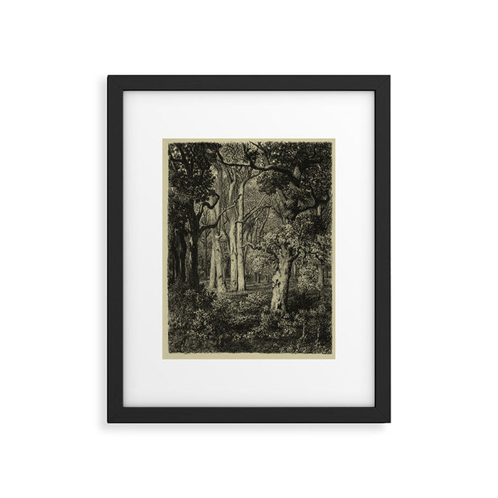 Old Oaks Framed Art Print Gallery Image 1