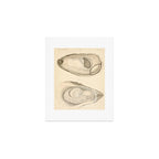 Oyster Anatomy Art Print Gallery Image 1