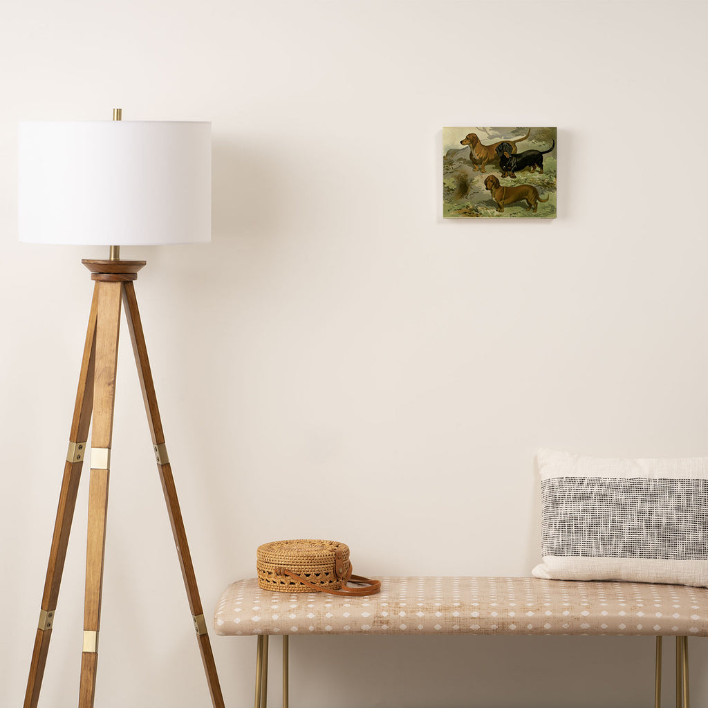 Vintage Dachshunds Canvas Print Gallery Image 2