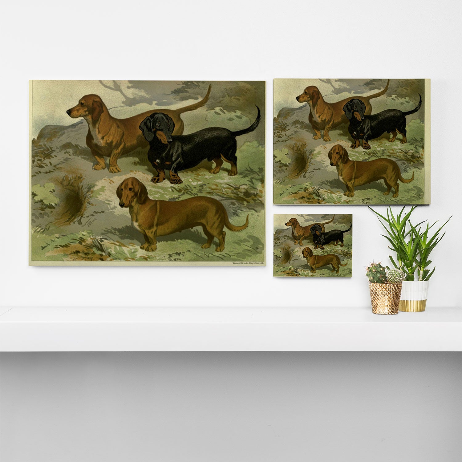 Vintage Dachshunds Canvas Print Gallery Image 3
