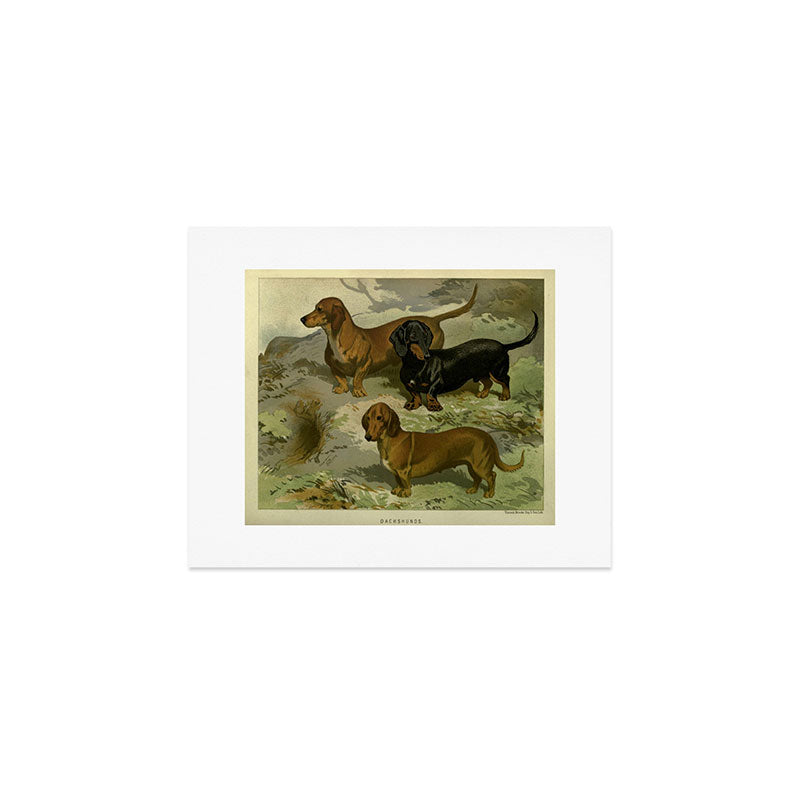Vintage Dachshunds Art Print Gallery Image 1