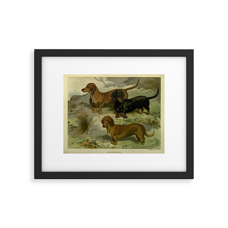 Vintage Dachshunds Framed Art Print Gallery Image 5