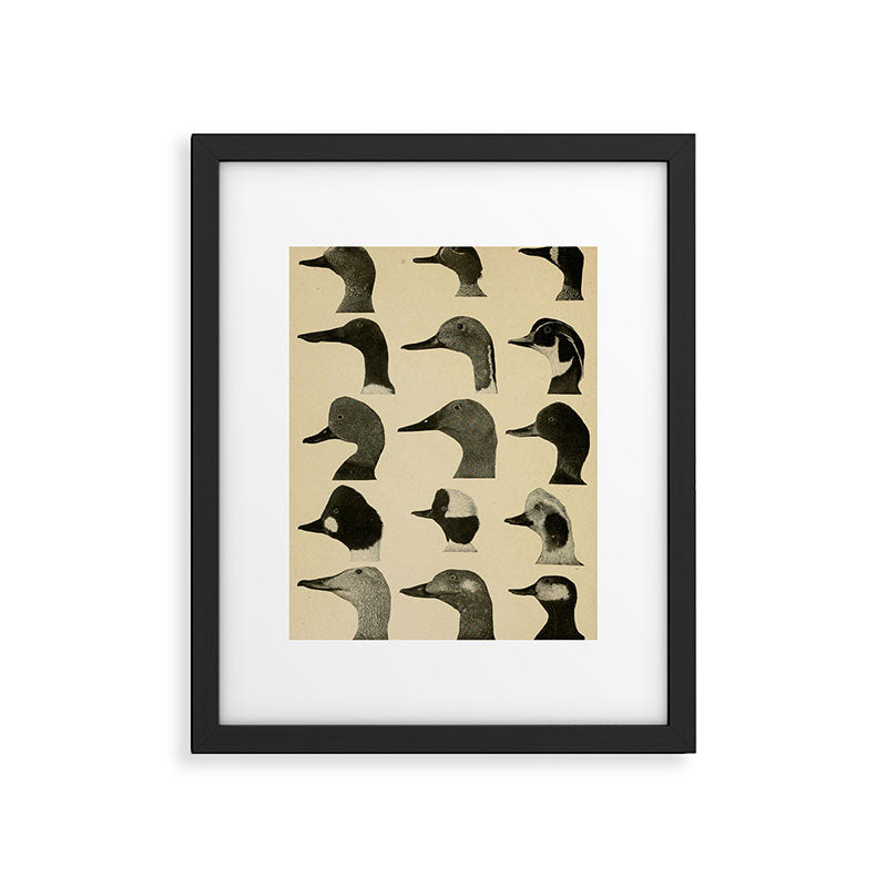 Vintage Duck Heads Framed Art Print Gallery Image 5
