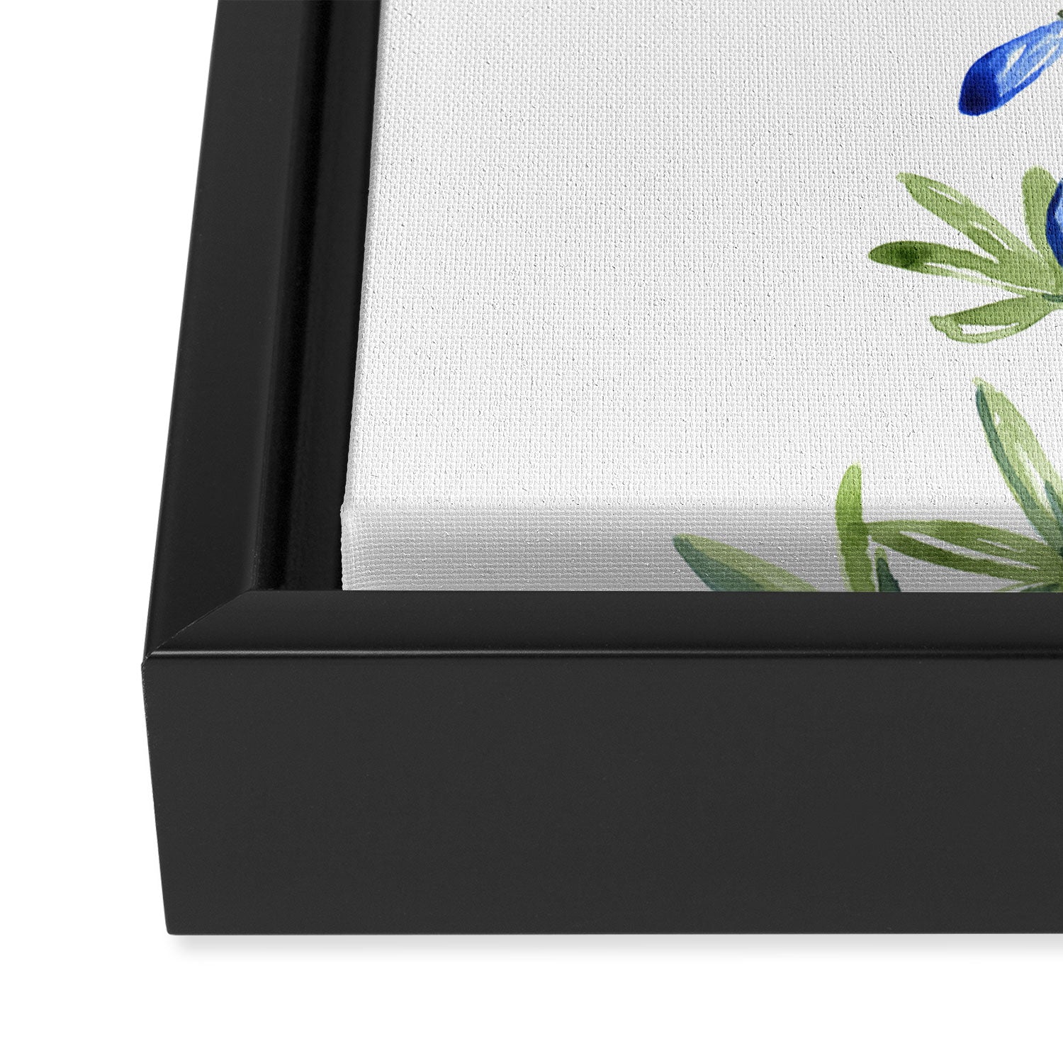 Texas bluebonnet in watercolor Framed Canvas Print Gallery Image 3