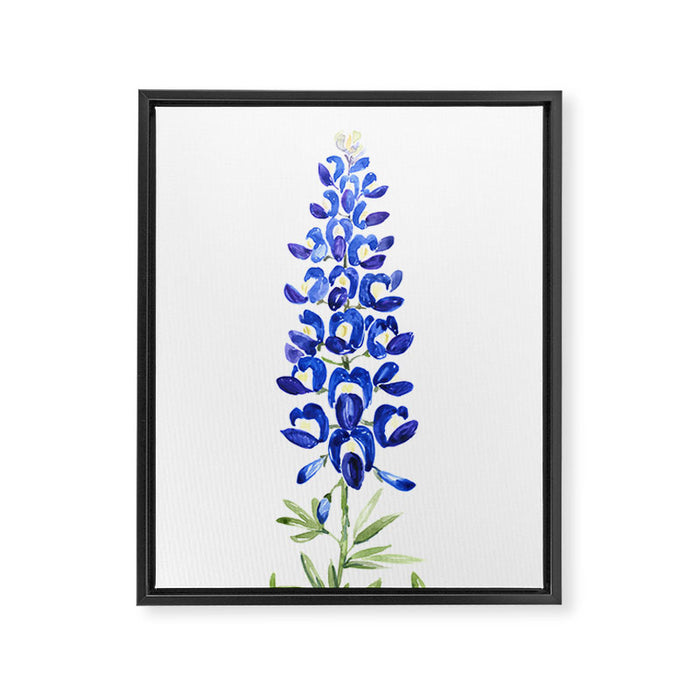Texas bluebonnet in watercolor Framed Canvas Print Gallery Image 1