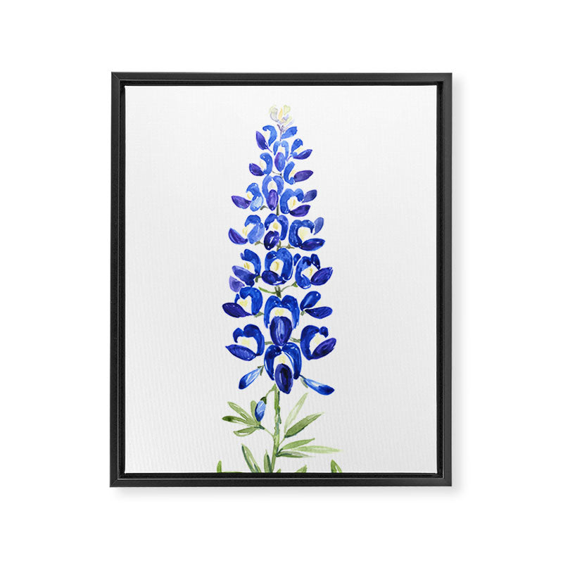 Texas bluebonnet in watercolor Framed Canvas Print Gallery Image 3