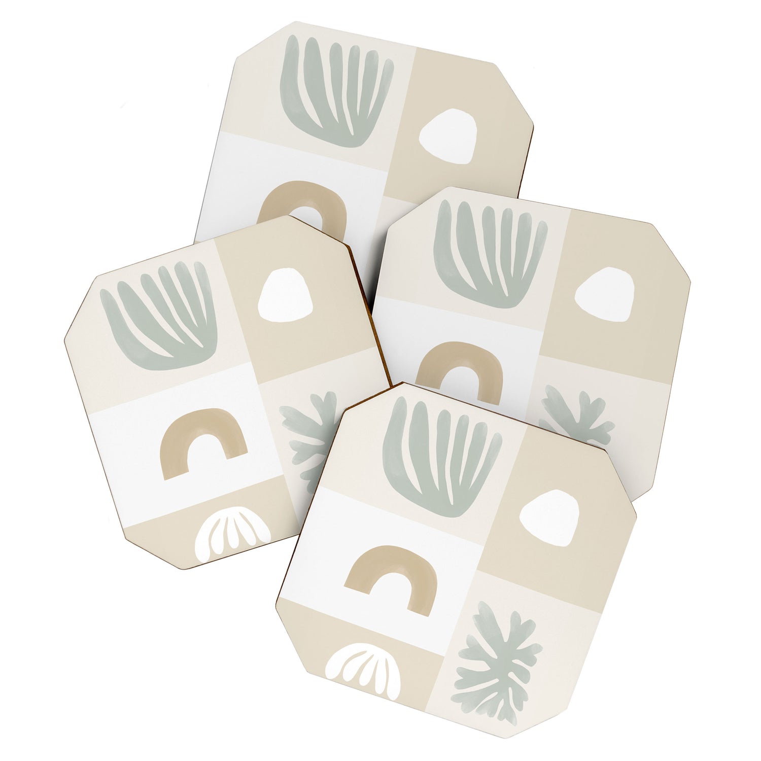Modern Corals | Sage Green Coaster Gallery Image 1