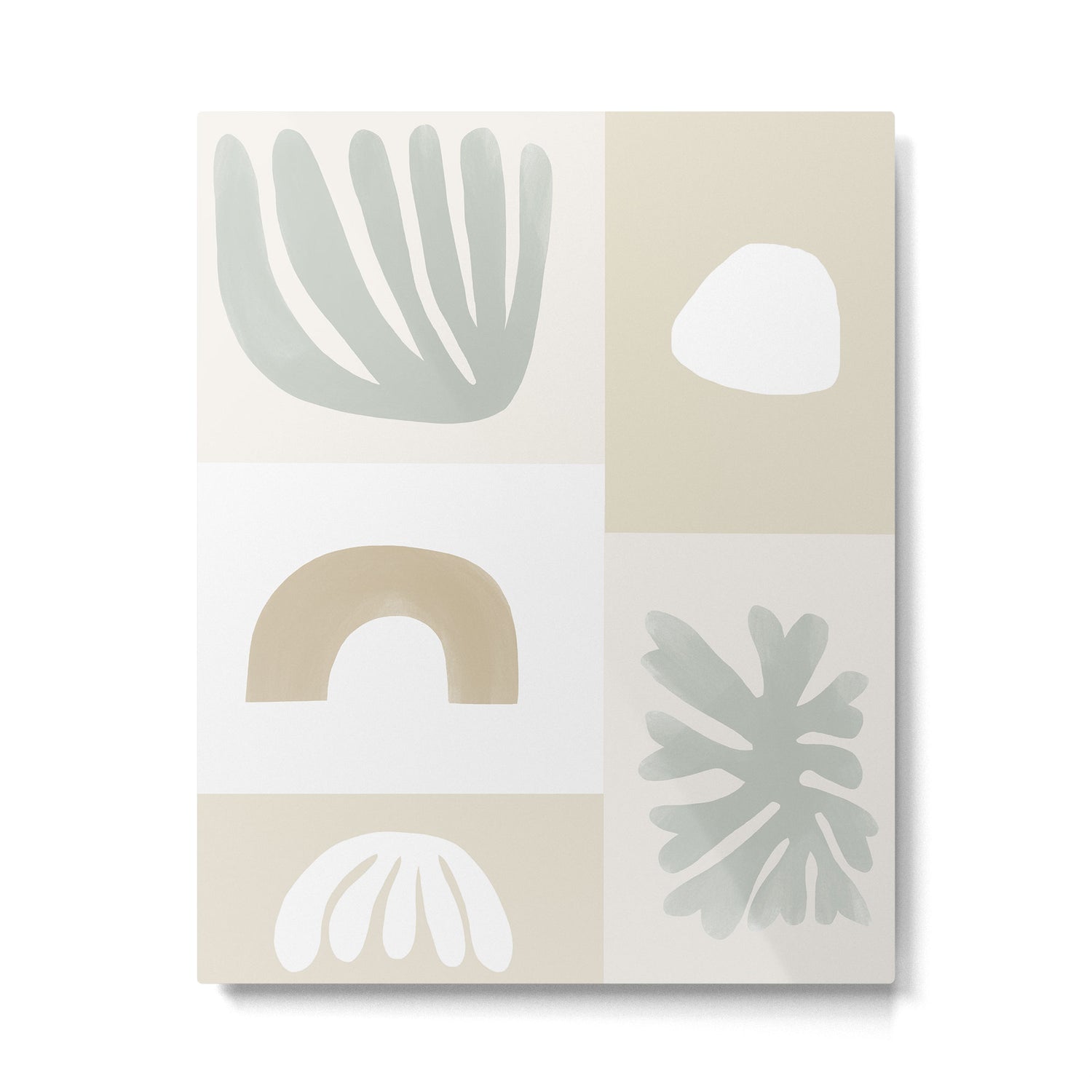 Modern Corals | Sage Green Metal Print Gallery Image 6