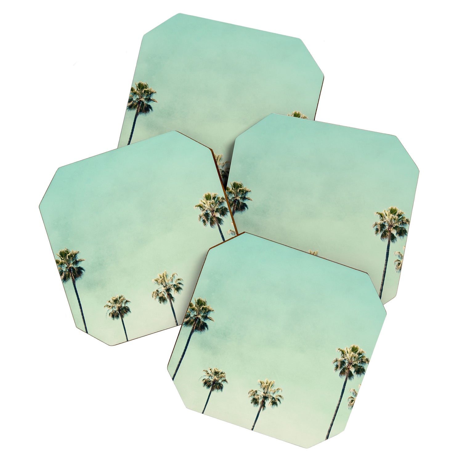 Palm Tree Photography Coaster Gallery Image 1
