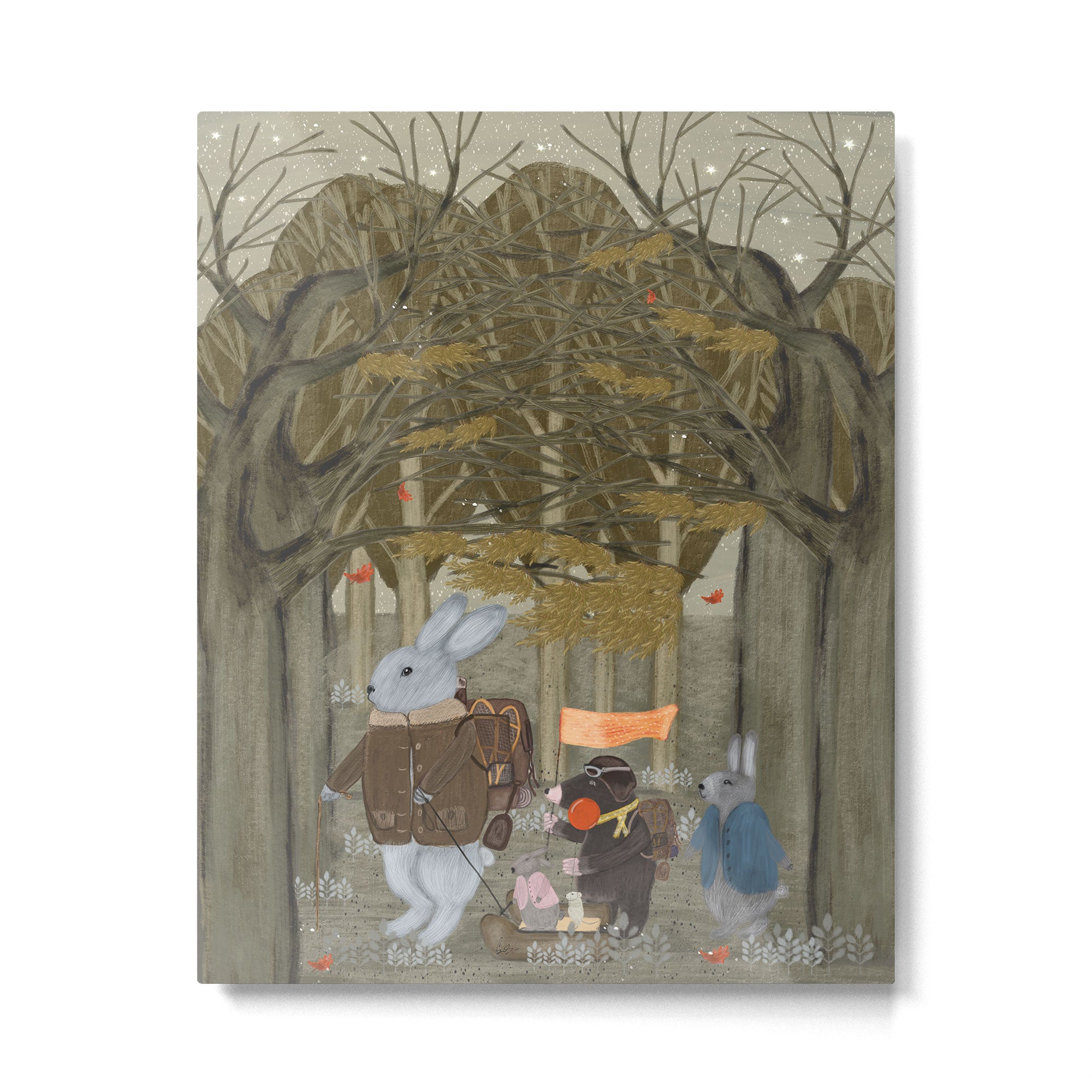 a little woodland adventure Metal Print Gallery Image 6