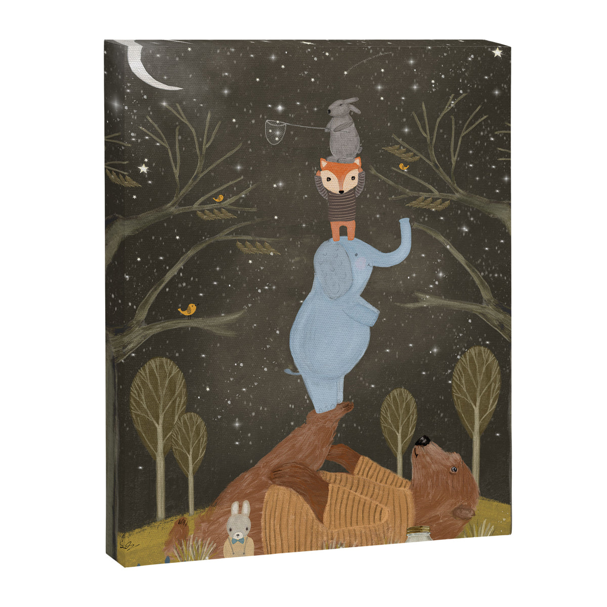 catching falling stars Canvas Print Gallery Image 8