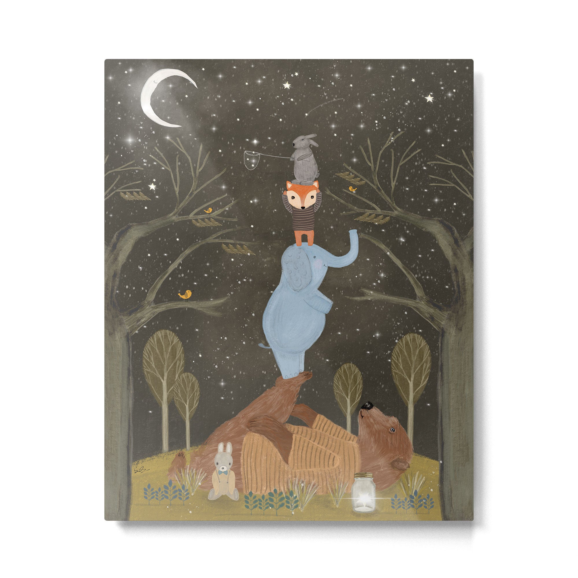catching falling stars Metal Print Gallery Image 6