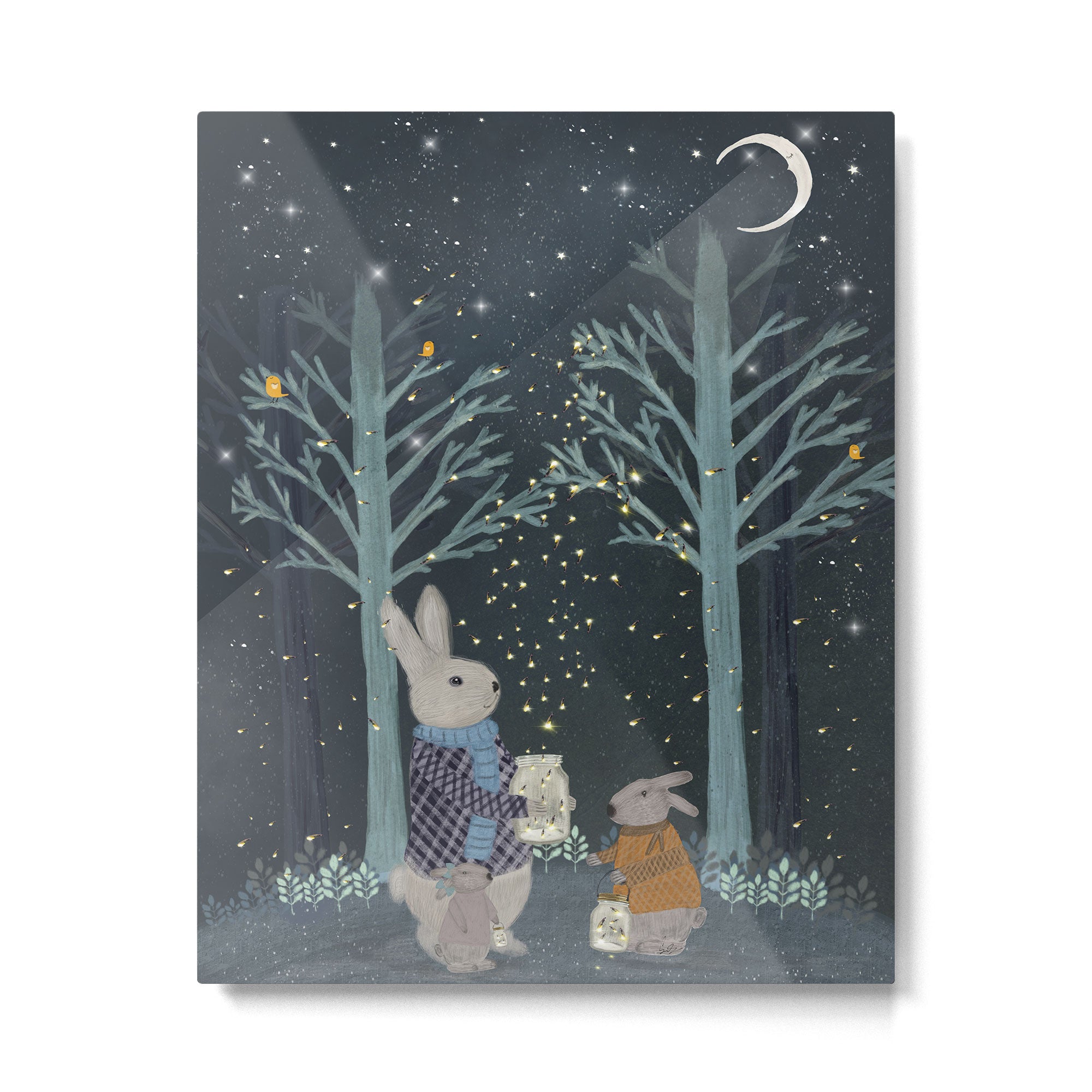 catching fireflies Metal Print Gallery Image 6
