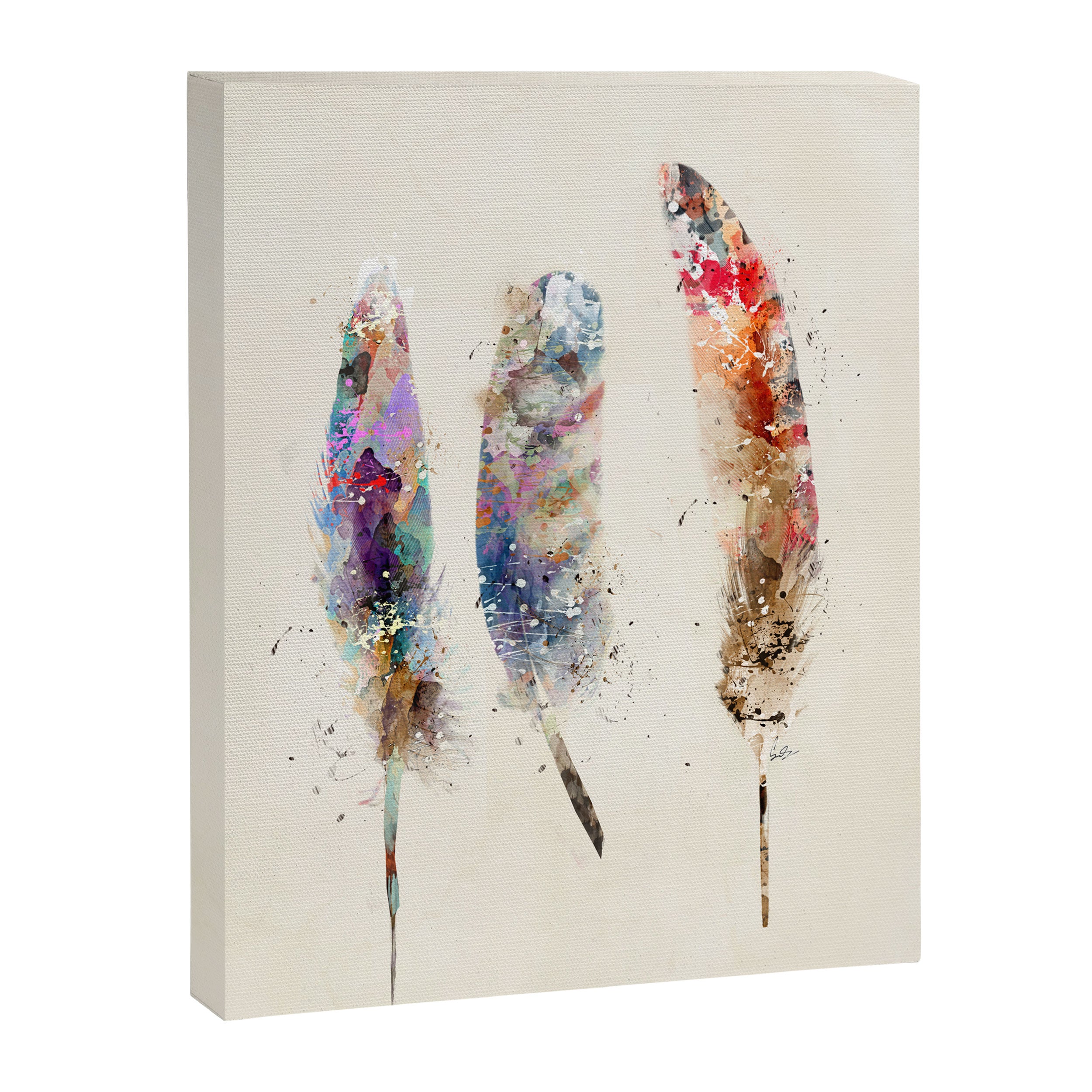 feathers Canvas Print Gallery Image 6