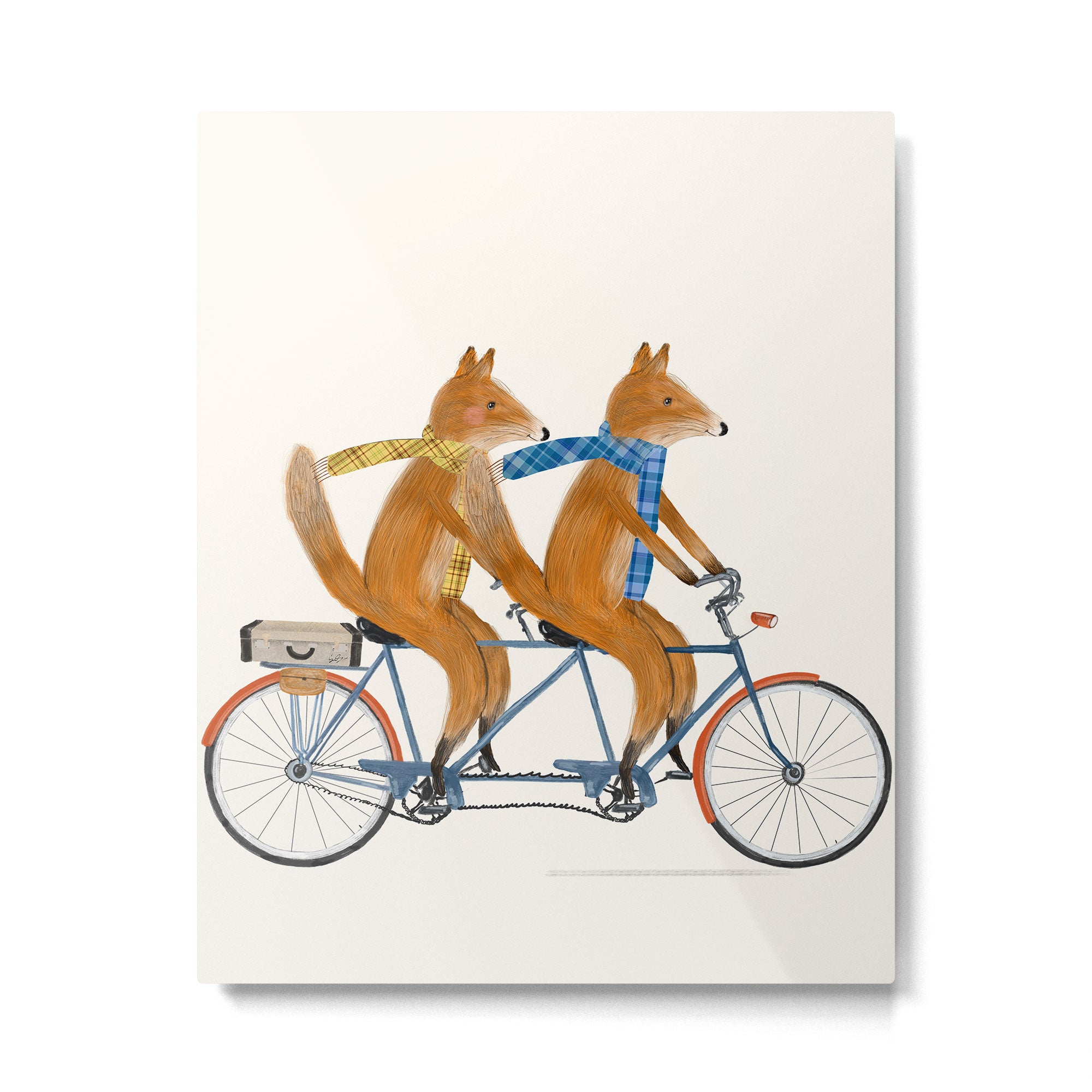 foxes lets tandem Metal Print Gallery Image 6