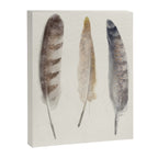 free wild feathers Canvas Print Gallery Image 8