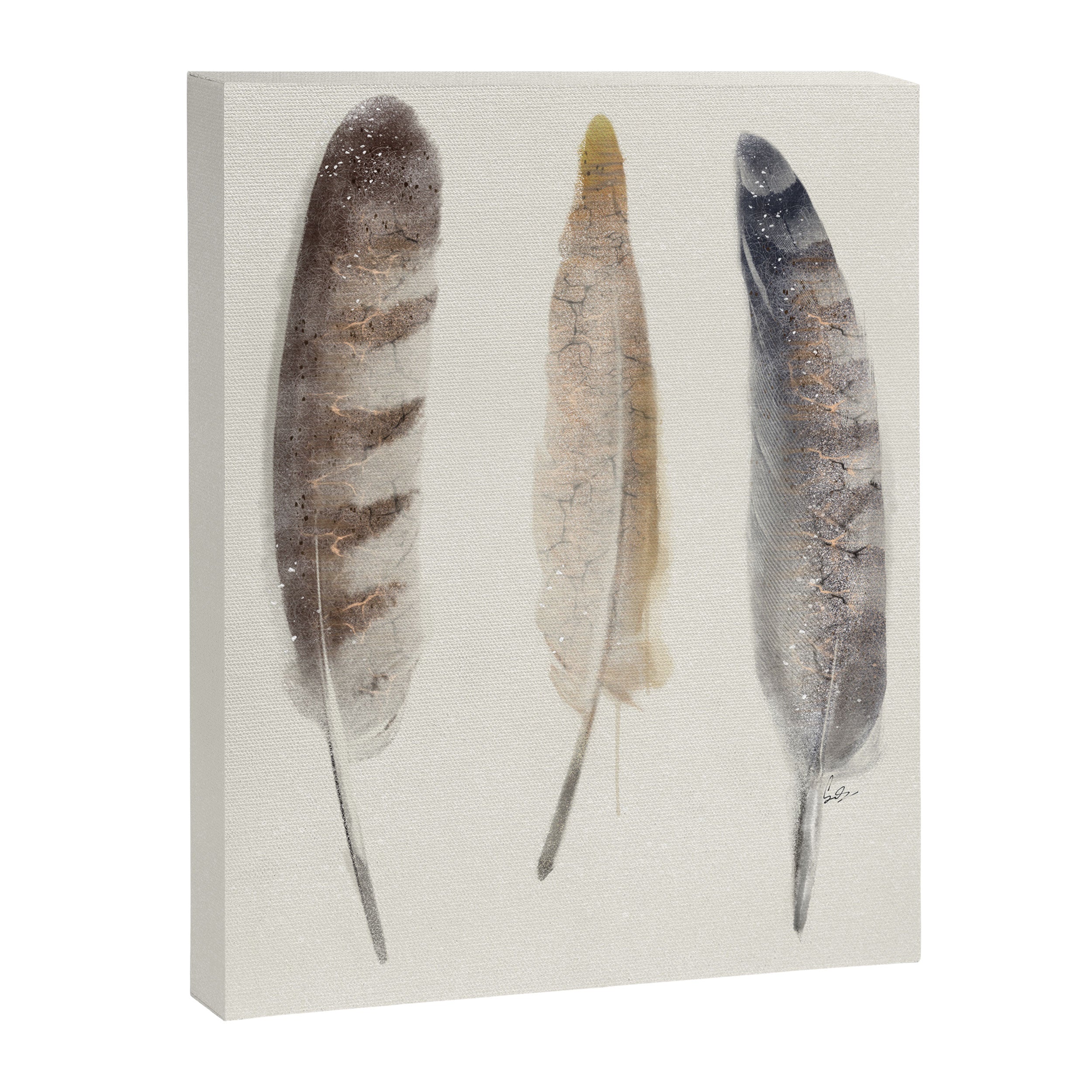 free wild feathers Canvas Print Gallery Image 8