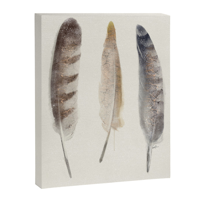 free wild feathers Canvas Print Gallery Image 1