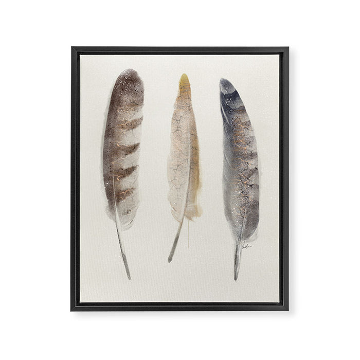 free wild feathers Framed Canvas Print Gallery Image 1