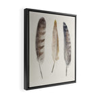free wild feathers Framed Canvas Print Gallery Image 2