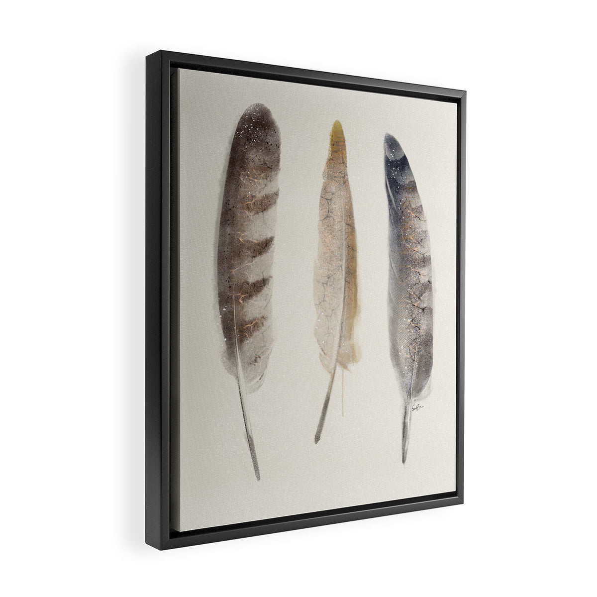 free wild feathers Framed Canvas Print Gallery Image 2