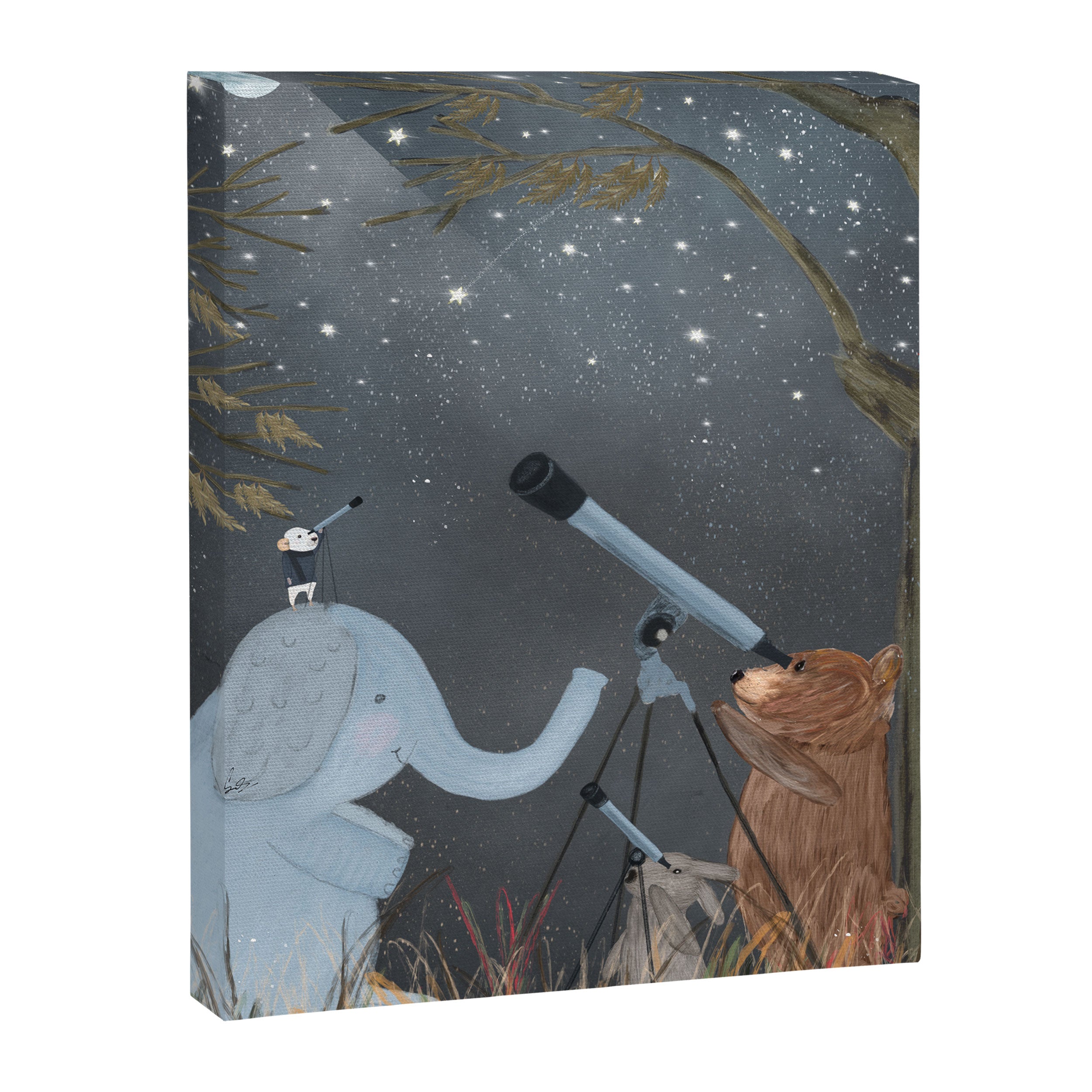 little astrologers Canvas Print Gallery Image 6