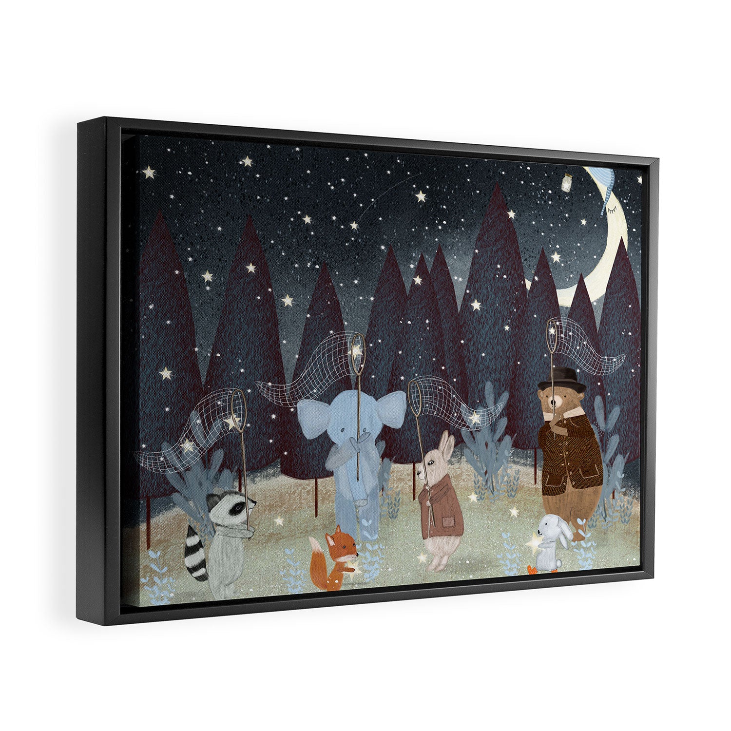 little falling stars Framed Canvas Print Gallery Image 2