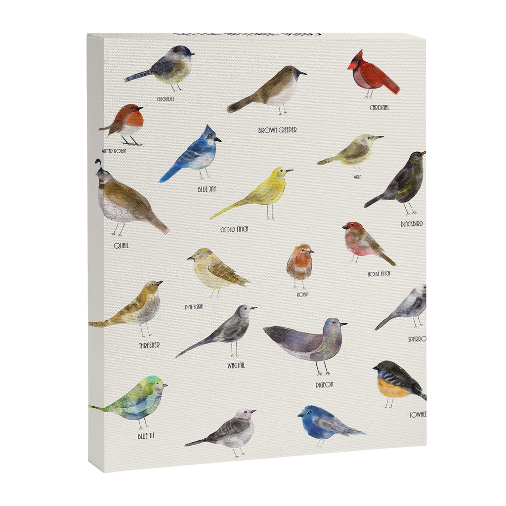 little nature birds Canvas Print Gallery Image 8