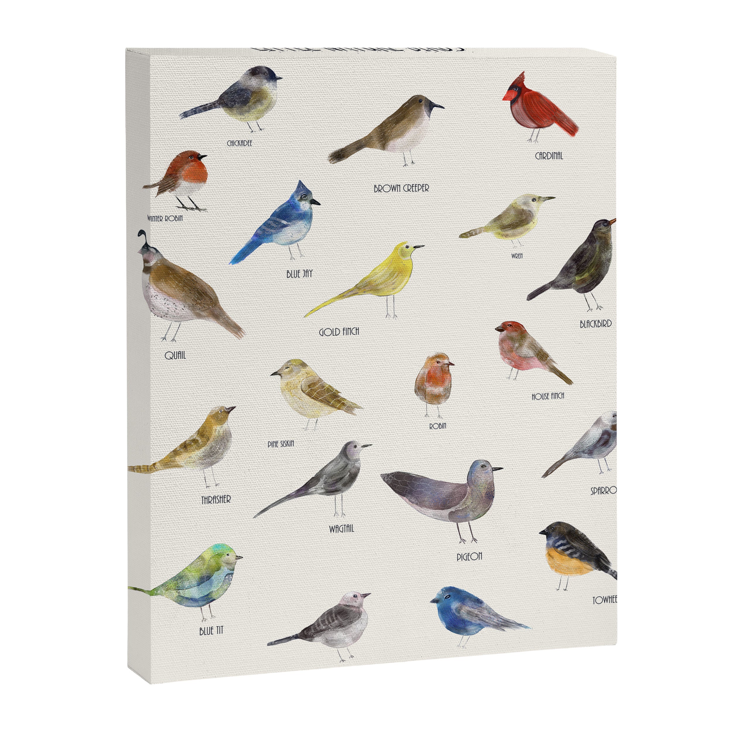 little nature birds Canvas Print Gallery Image 8