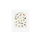 little nature birds Art Print Gallery Image 1