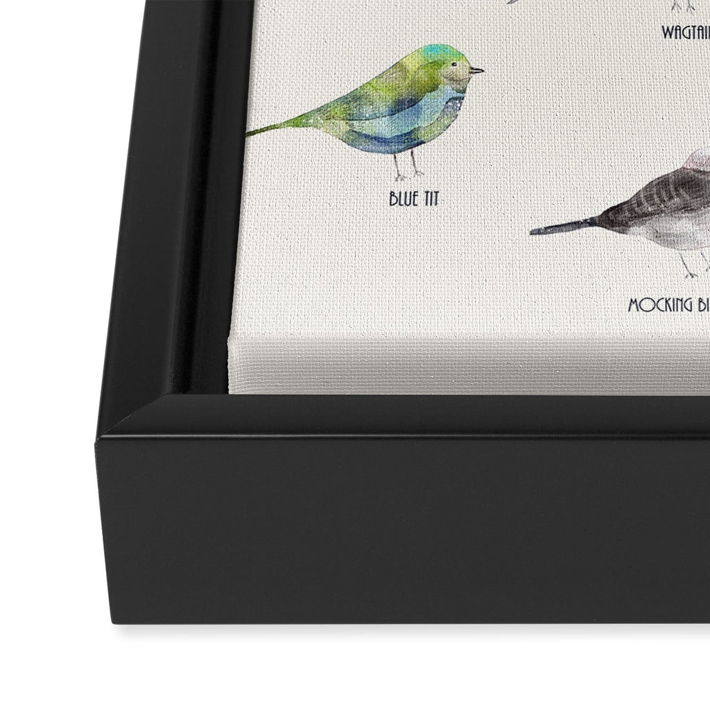 little nature birds Framed Canvas Print Gallery Image 3