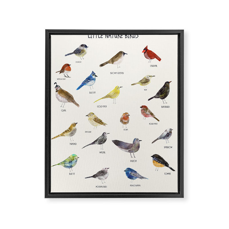 little nature birds Framed Canvas Print Gallery Image 8