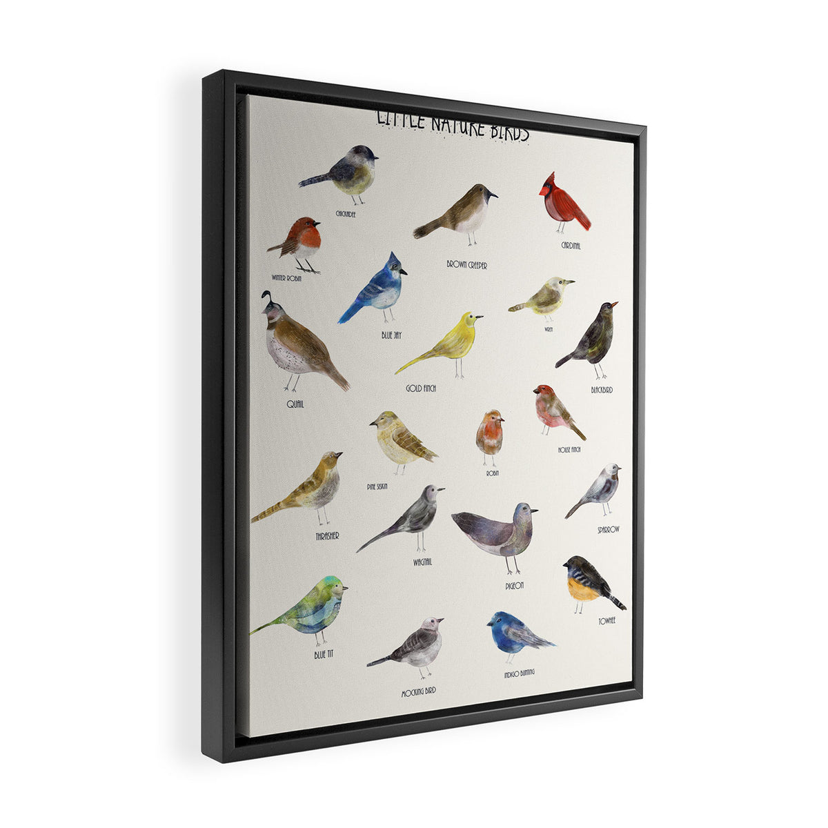 little nature birds Framed Canvas Print Gallery Image 2
