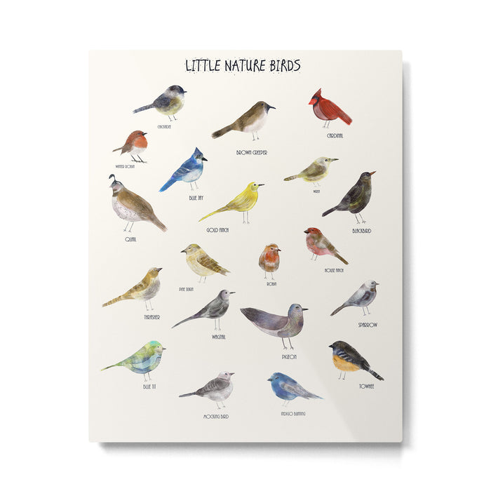 little nature birds Metal Print Gallery Image 1