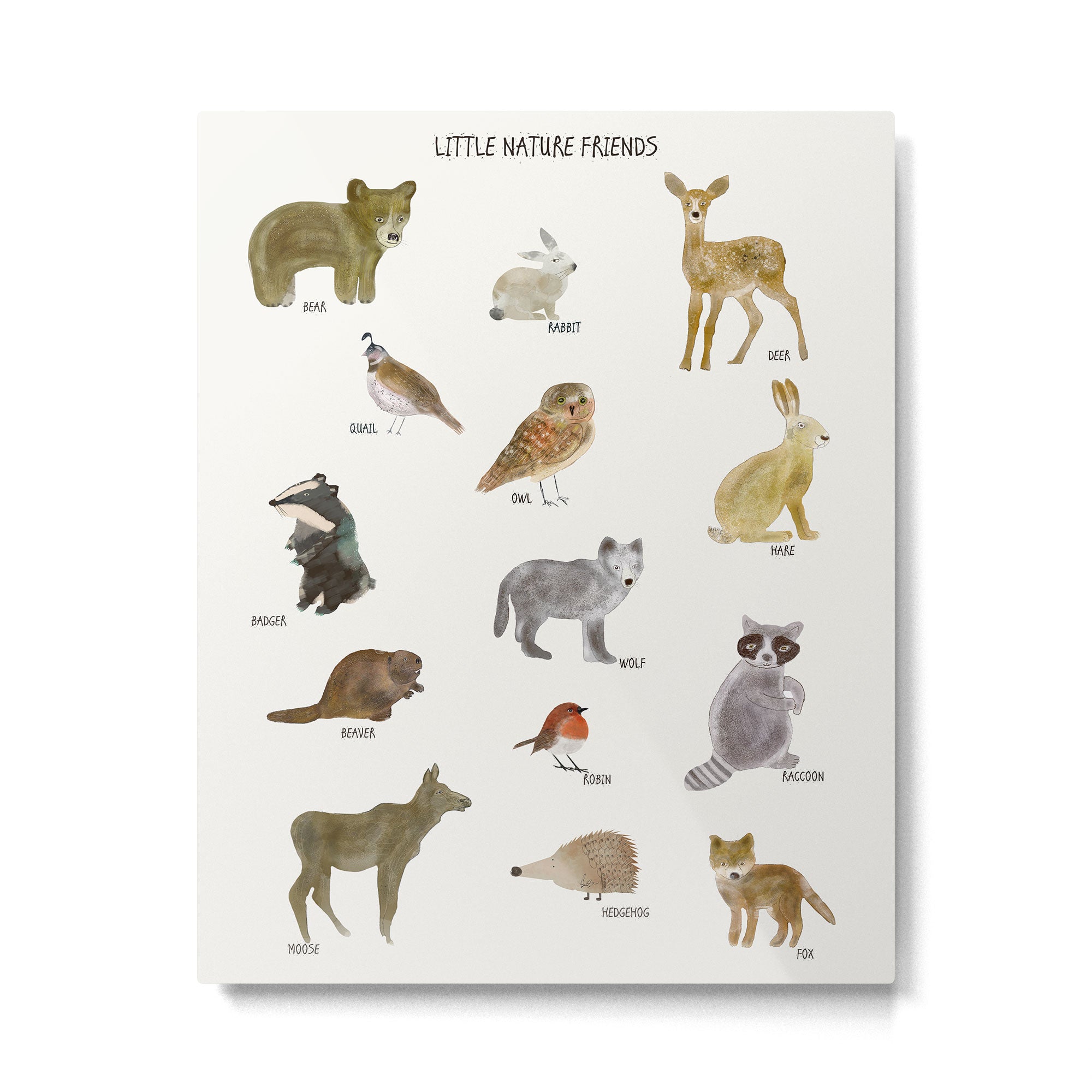 little nature friends Metal Print Gallery Image 6