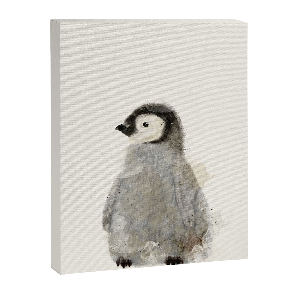 little penguin Canvas Print Gallery Image 6