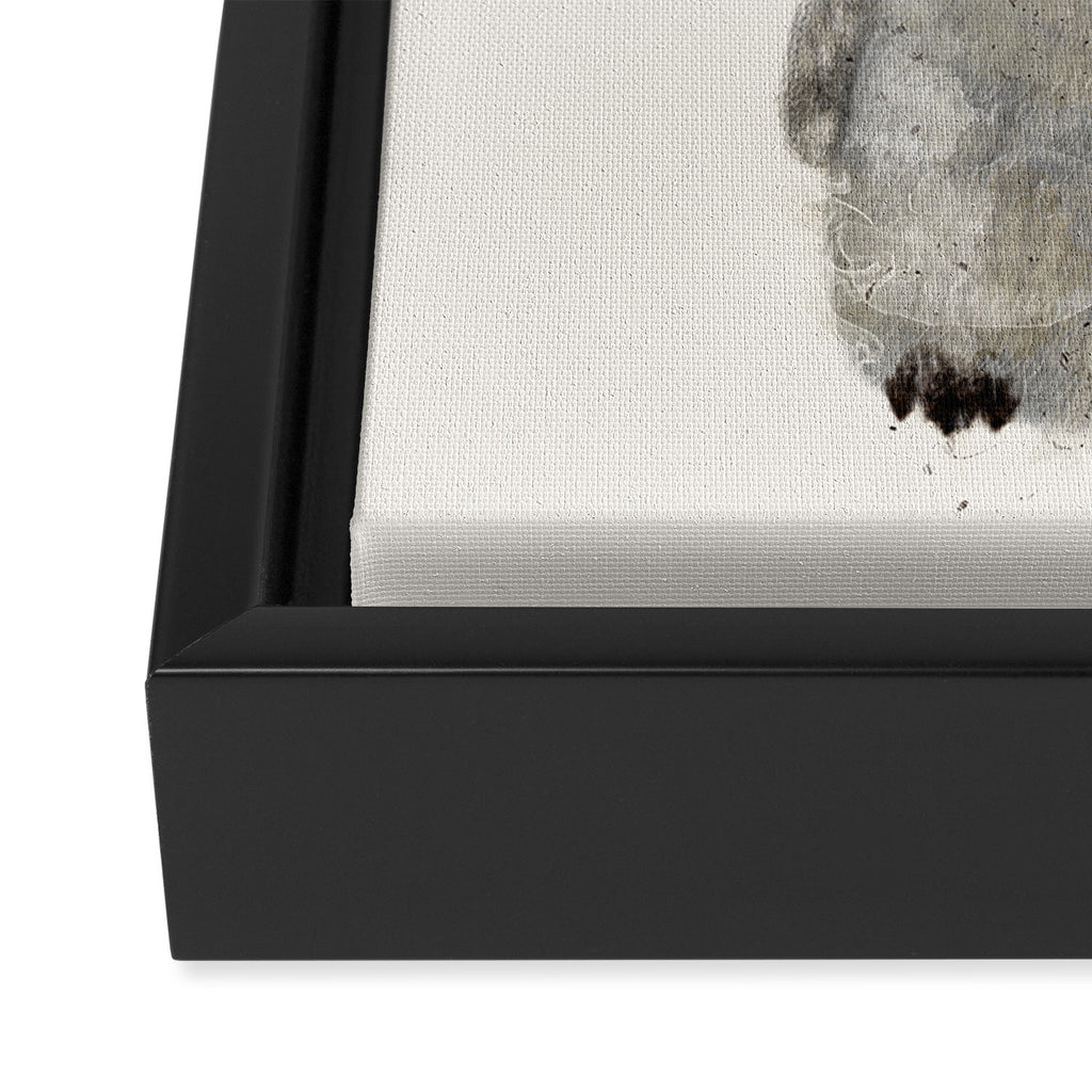 little penguin Framed Canvas Print Gallery Image 3