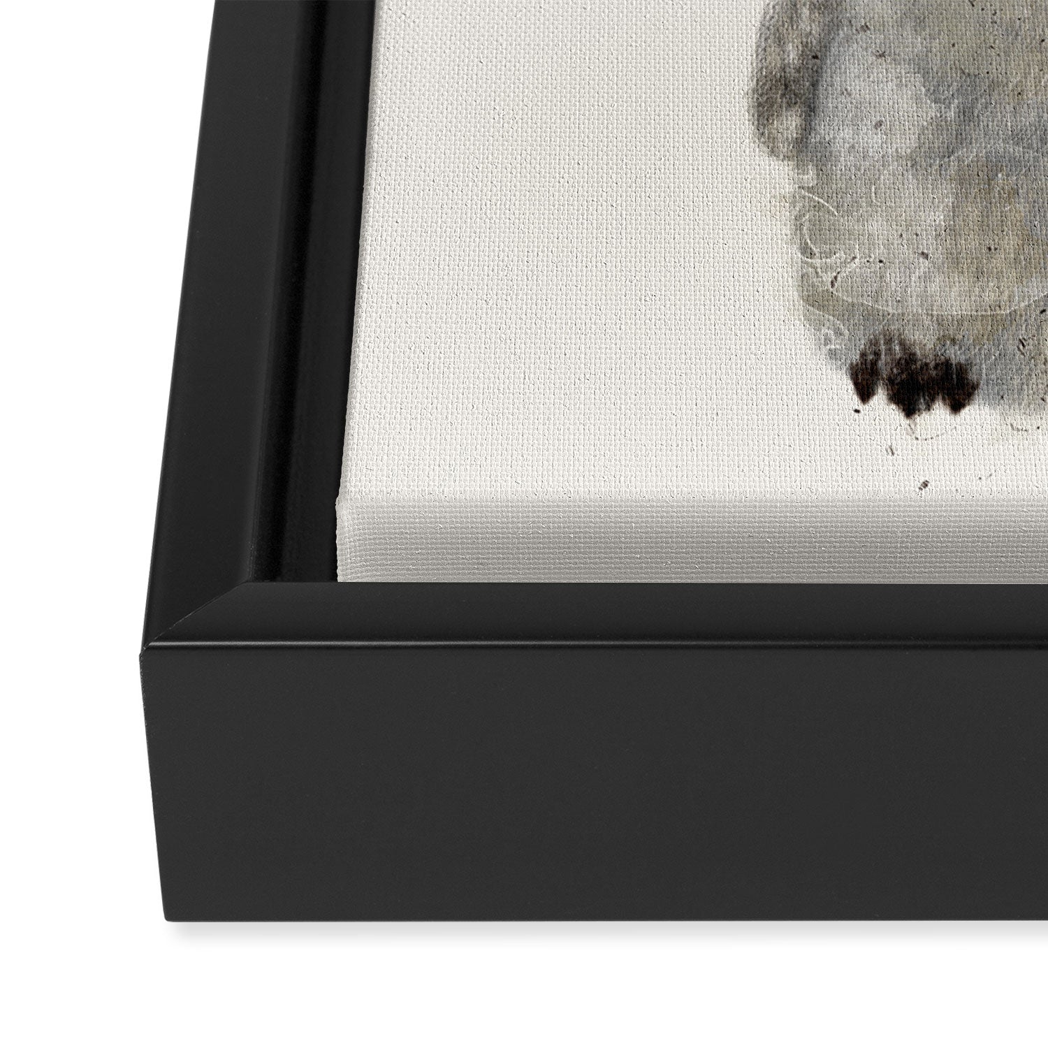little penguin Framed Canvas Print Gallery Image 3